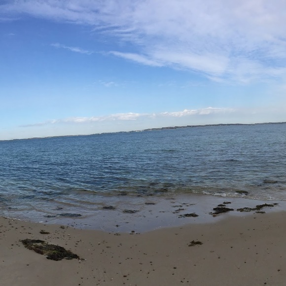 Meet your Posher, Asha - Picture 1 of 1